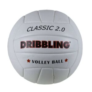 BALON VOLLEY CLASSIC 2.0