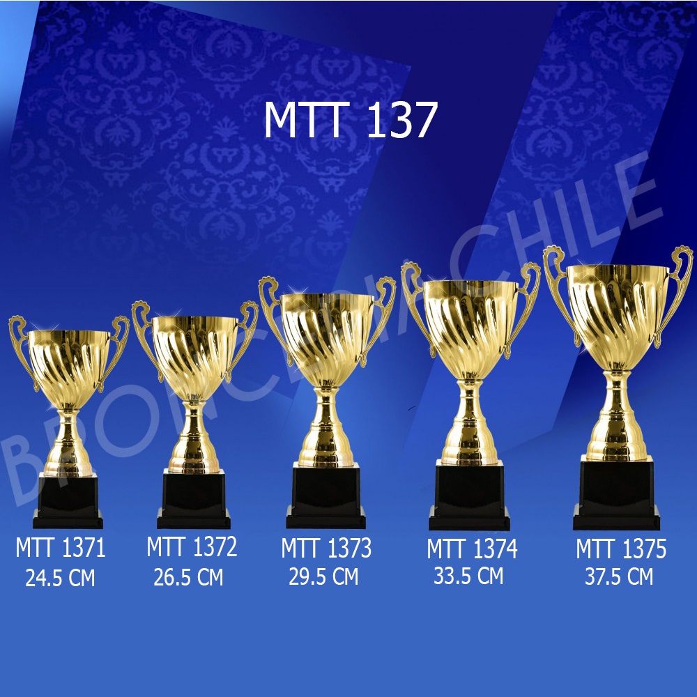 Copa modelo MTT 137